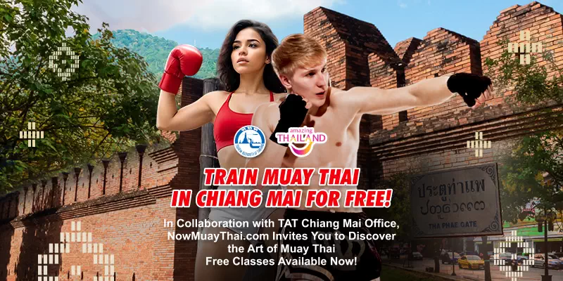 Train Muay Thai in chiang mai for free! mobile